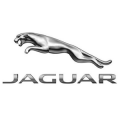 Brandall Agency Jaguar